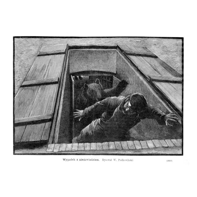 "Wypadek z niedźwiedziem. Rysował W. Podkowiński. (2645)"