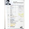 Książka telefoniczna 2007. Gliwice. Klienci indywidualni, firmy i instytucje / miasta i powiaty: Gliwice, Bytom, Piekary Śląskie