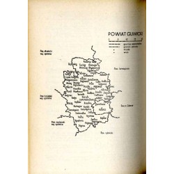Katalog zabytków sztuki w Polsce. T. 6: Województwo katowickie. Z. 5: Powiat gliwicki / Gliwice i powiat