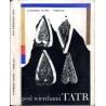 Pod wierchami Tatr