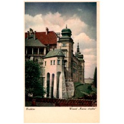 Kraków. Wawel "Kurza stopka"