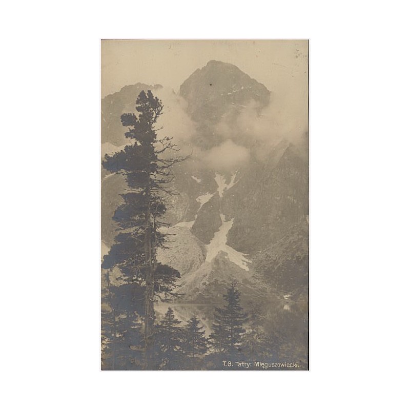 T.9. Tatry: Mięguszowiecki