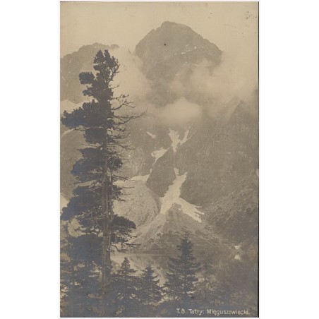 T.9. Tatry: Mięguszowiecki