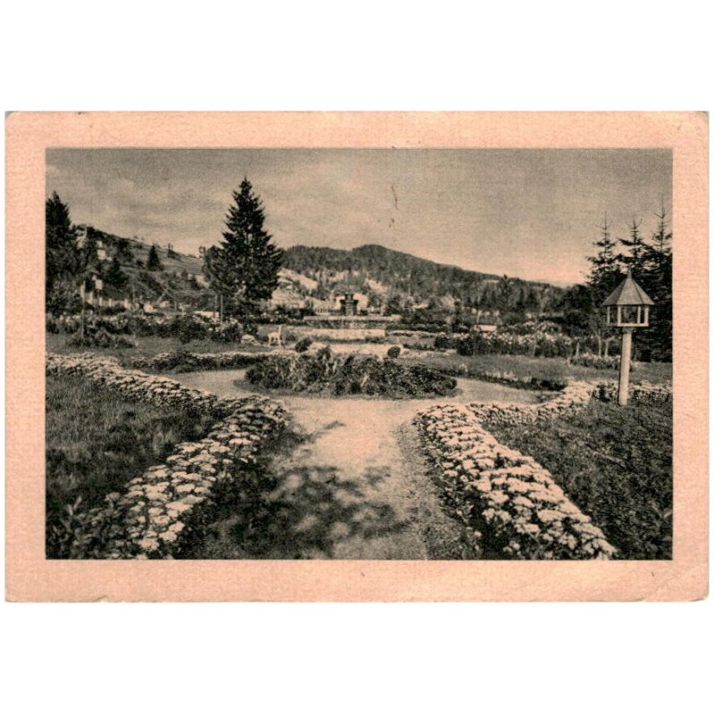 Erholugsheim »Weichselquelle« des Reichsbahn-Kameradschaftswerks Bez. Verb. Oppeln, Weichsel O/S Krs. Teschen. Unser Garten