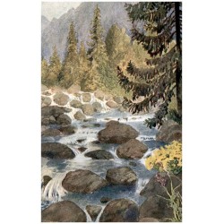 Ot. Štáfl: Tatry. Štrbské Pleso: Potok "Mlynica".