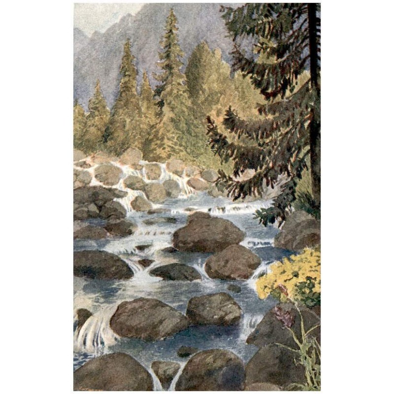 Ot. Štáfl: Tatry. Štrbské Pleso: Potok "Mlynica".