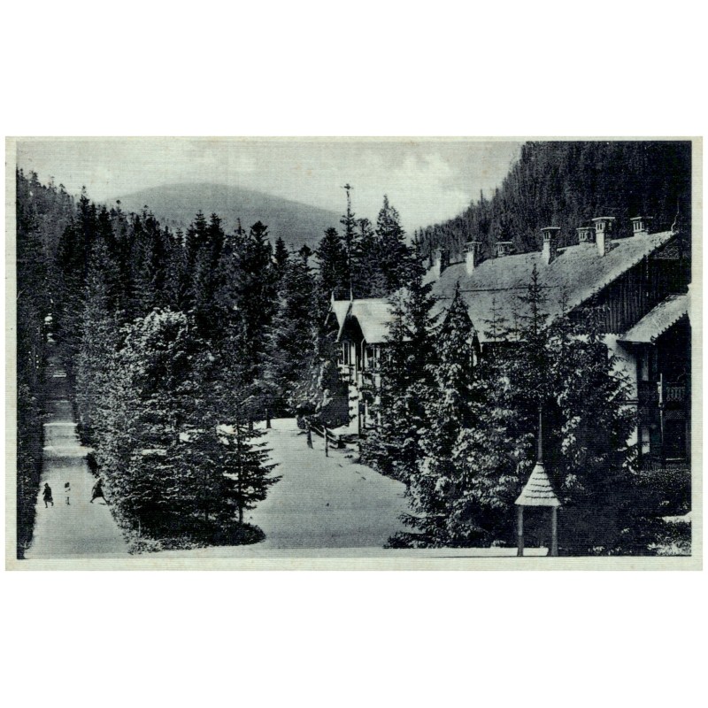 Tatranská Kotlina. Höhlenhain. Barlangliget. Villa Polana