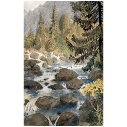 T. Štáfl: Tatry. Štrbské Pleso: Potok "Mlynica".