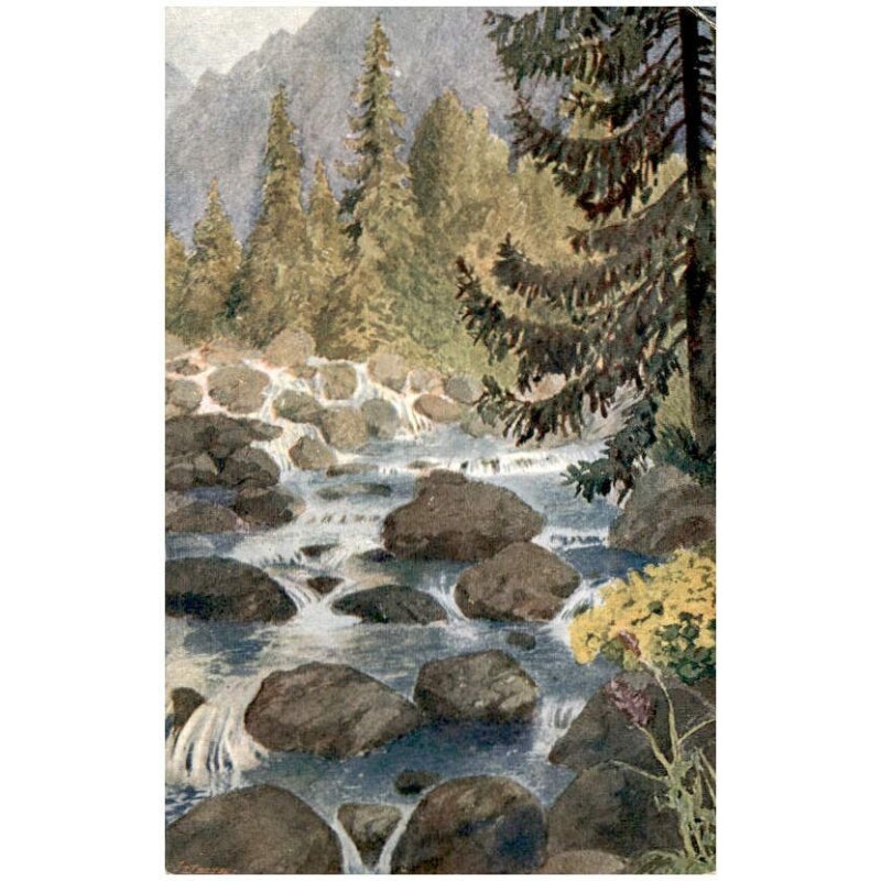 T. Štáfl: Tatry. Štrbské Pleso: Potok "Mlynica".