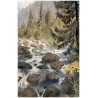 T. Štáfl: Tatry. Štrbské Pleso: Potok "Mlynica".