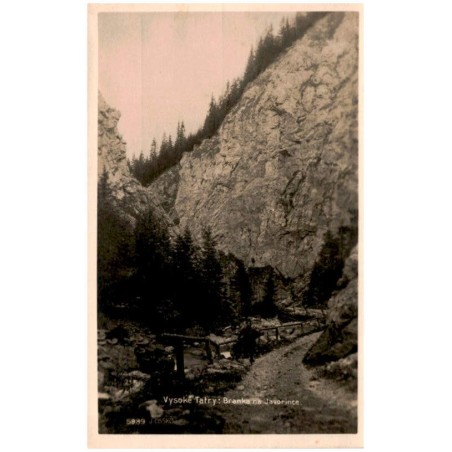 Vysoké Tatry: Branka na Javorince. 5989