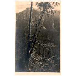 Osterva (1984 m) s cesty k Popradskému plesu (Fot. Karol Plicka.)