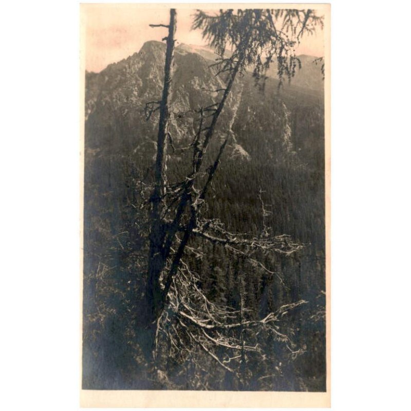 Osterva (1984 m) s cesty k Popradskému plesu (Fot. Karol Plicka.)
