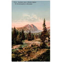Tátra. Csorbatavi csúcs a Mlinicza völgyben. Die Csorbaseespitze im Mlinicathal.