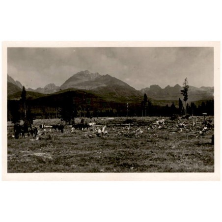 Na cestě Slobody u Vyšných Hágů, Gerlachovka.