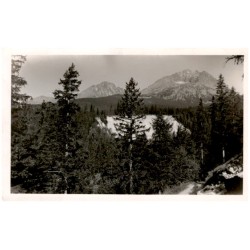 Vysoké Tatry. Tatranská Polianka. 1010 m. - Westerheim - Tátraszéplak