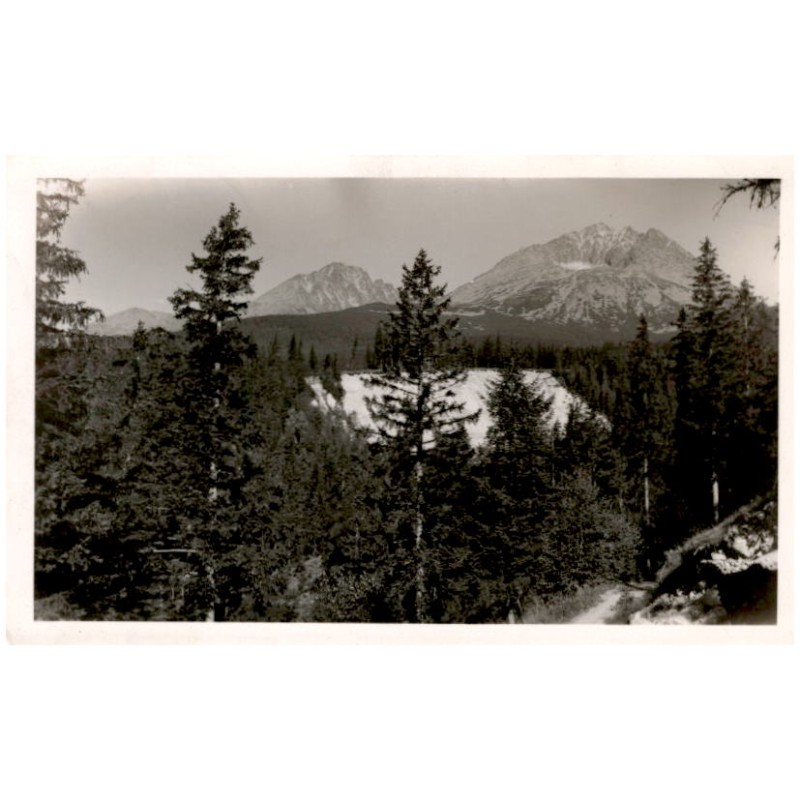 Vysoké Tatry. Tatranská Polianka. 1010 m. - Westerheim - Tátraszéplak