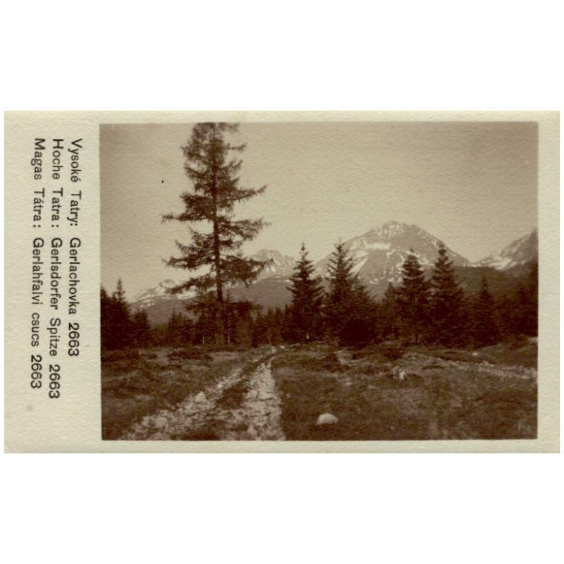 Vysoké Tatry: Gerlachovka 2663. Hoche Tatra: Gerlsdorfer Spitze 2663. Magas Tátra: Gerlahfalvi csucs 2663