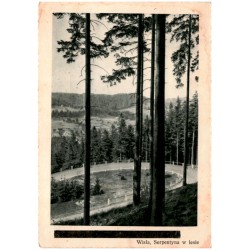 Wisła, Serpentyna w lesie [...] / Rewers: Wisła, Śląsk Cieszyński. Letnisko w Beskidach. Weichsel O/S der schöne Kurort in den B