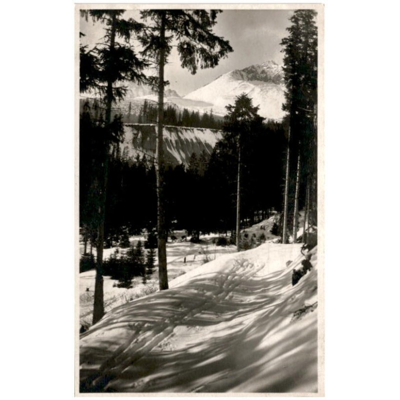 Vysoké Tatry. Tatranská Polianka. Žlta stena, a Gerlachovsky štít. Hohe Tatra. Westerheim. Gelbewand u. Gerlachsdorfer Spitze. M