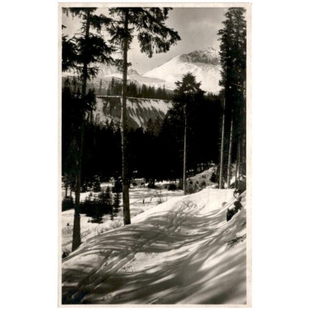 Vysoké Tatry. Tatranská Polianka. Žlta stena, a Gerlachovsky štít. Hohe Tatra. Westerheim. Gelbewand u. Gerlachsdorfer Spitze. M