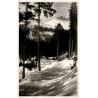 Vysoké Tatry. Tatranská Polianka. Žlta stena, a Gerlachovsky štít. Hohe Tatra. Westerheim. Gelbewand u. Gerlachsdorfer Spitze. M