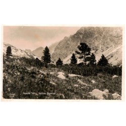 Vysoké Tatry: Dolina Zlomisk. 5964