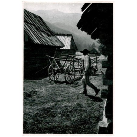 Tatry W Dolinie Kościeliskiej [...] Fot. Otton Swoboda