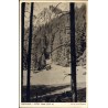Zakopane - Tatry. Nosal (1215 m). Fot. Dr. A. M. Wieczorek