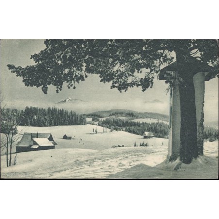 Bukowina Tatrzańska. 1000 m n. p. m. Widok z Buńdowego Wierchu