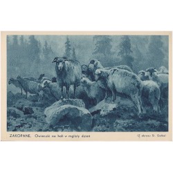 Tatry. Owieczki na hali w mglisty dzień (Z obrazu St. Gałka)