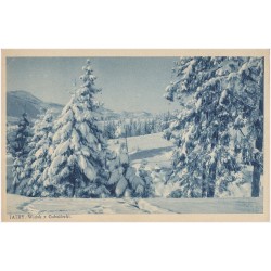 Tatry. Widok z Gubałówki