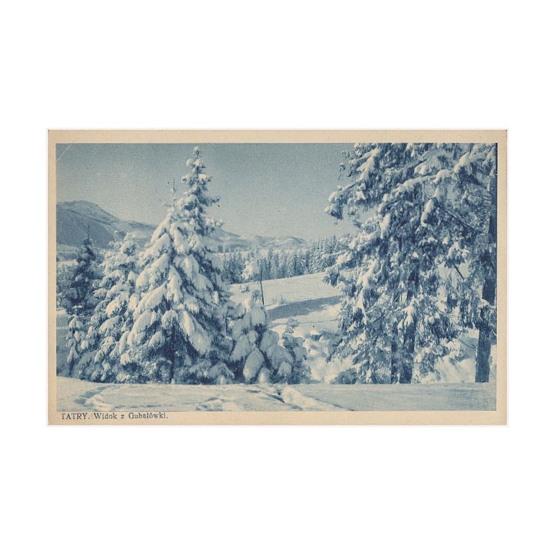 Tatry. Widok z Gubałówki