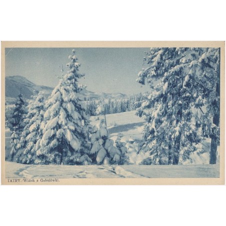 Tatry. Widok z Gubałówki