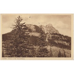 Tatry. "Sowa" w dol. Kościeliskiej