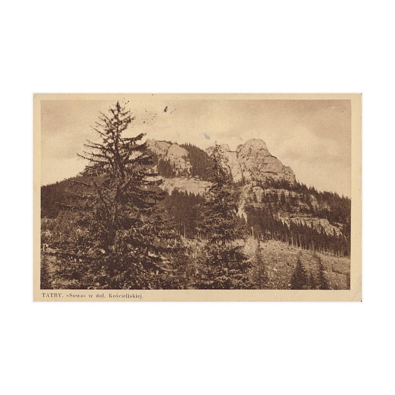 Tatry. "Sowa" w dol. Kościeliskiej
