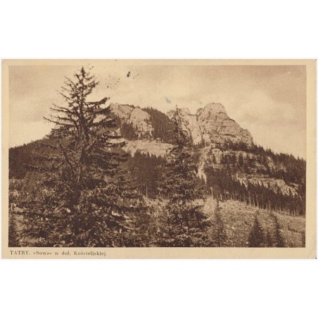 Tatry. "Sowa" w dol. Kościeliskiej