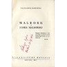 Malbork i zamek malborski