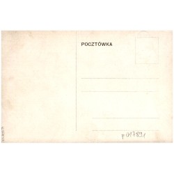 Rzeki polskie. Prypeć