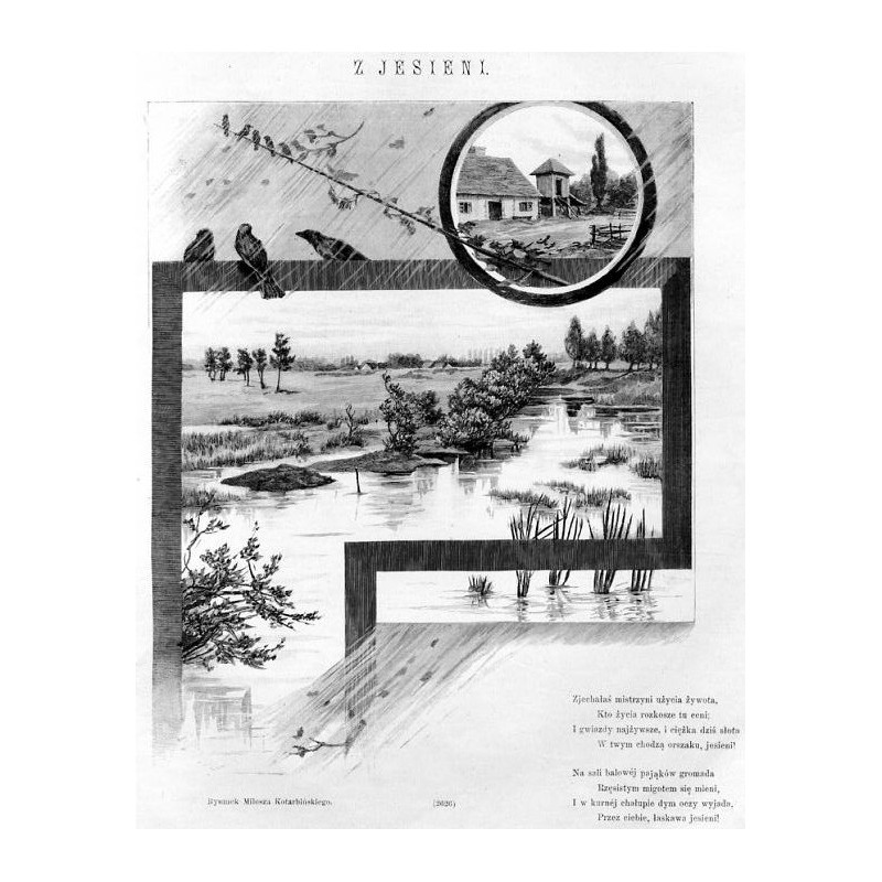 Z jesieni / "Z JESIENI. Rysunek Miłosza Kotarbińskiego. (2626)"