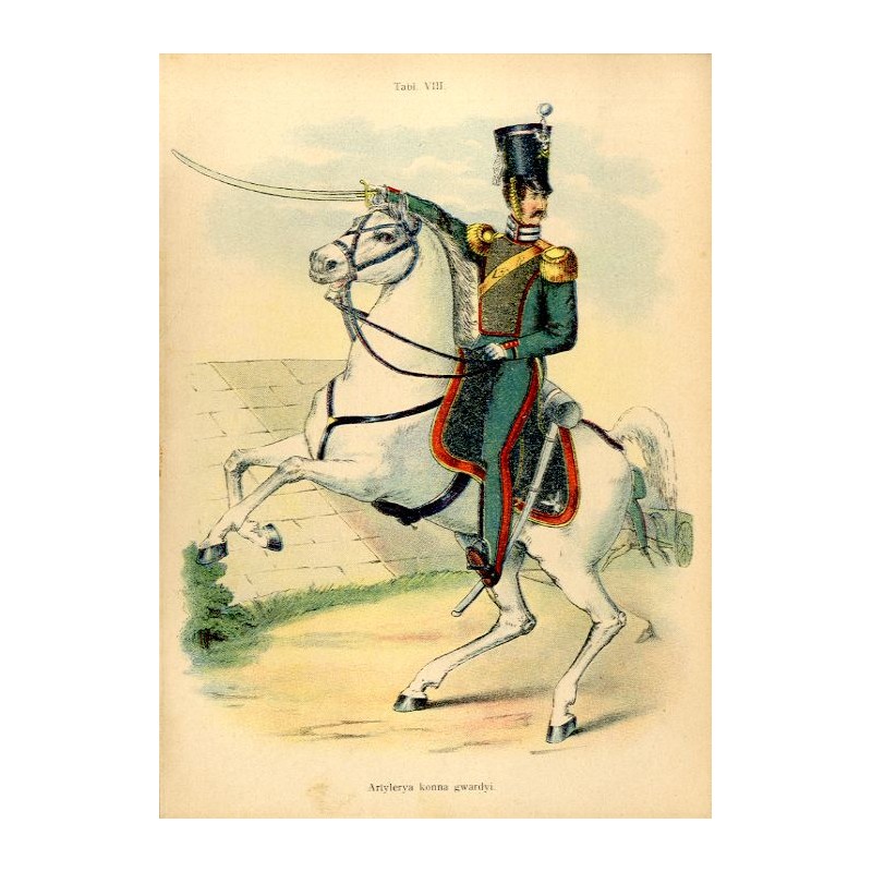 "Tabl. VIII. Artylerya konna gwardyi."