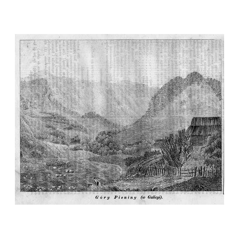 "Góry Pieniny (w Galicyi)."