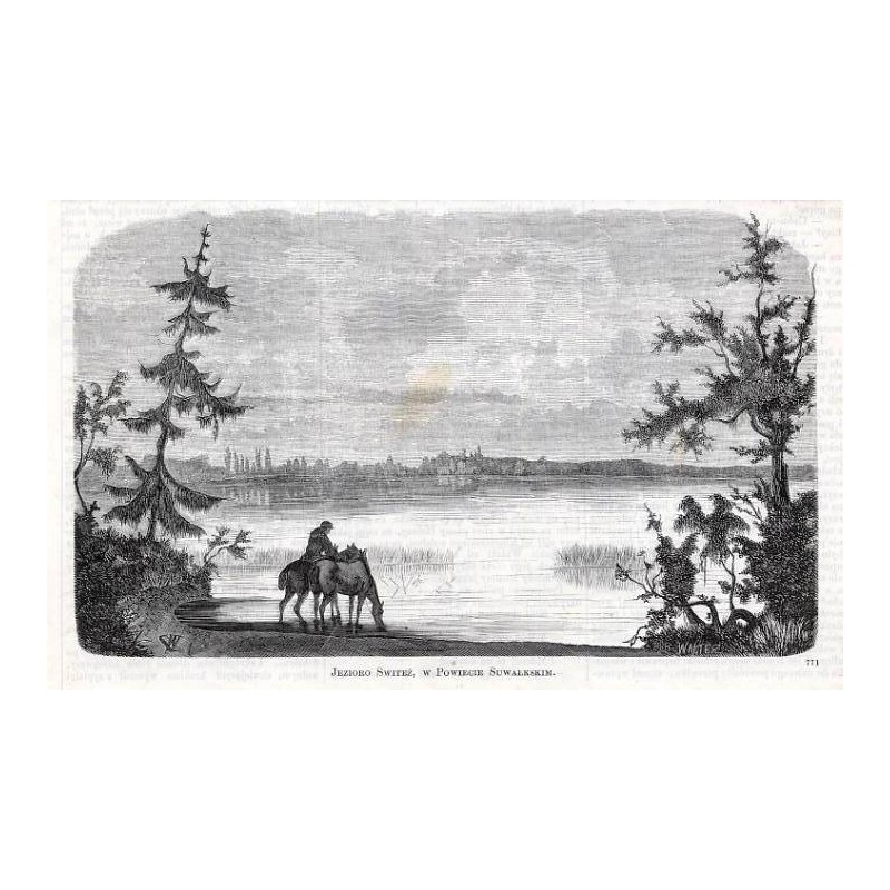 Jezioro Świteź, w powiecie suwalskim. 771 / "JEZIORO ŚWITEŹ, W POWIECIE SUWAŁKSKIM. 771"