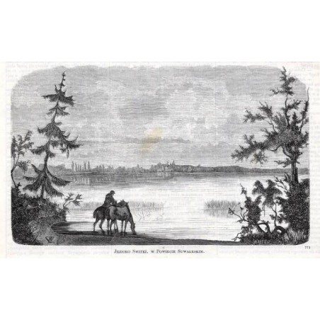 Jezioro Świteź, w powiecie suwalskim. 771 / "JEZIORO ŚWITEŹ, W POWIECIE SUWAŁKSKIM. 771"
