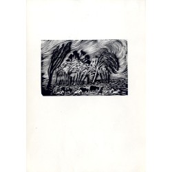 "Nawałnica"