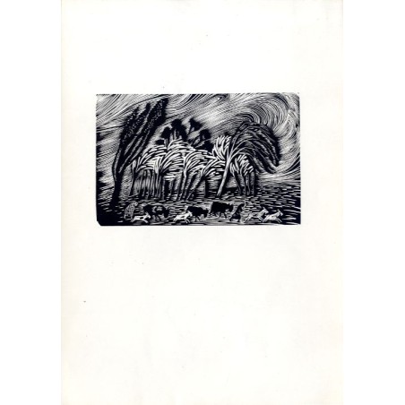 "Nawałnica"