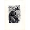 "Mater dolorosa"