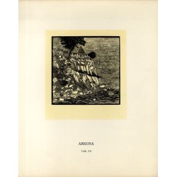Tabl. 21 Arkona / "TABL. XXI ARKONA"