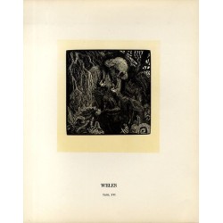 Tabl. 16 Wełes / "TABL. XVI WEŁES"
