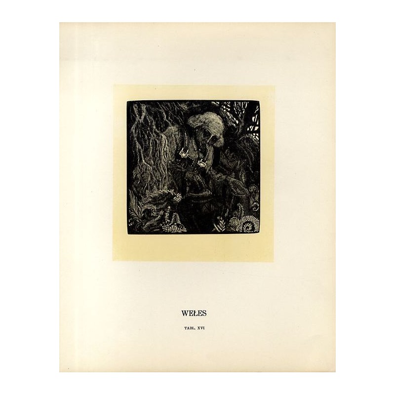 Tabl. 16 Wełes / "TABL. XVI WEŁES"